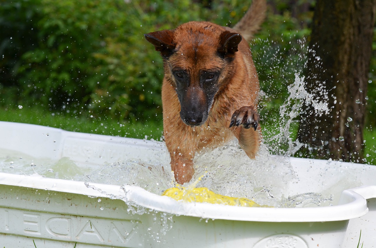 Beating the Heat: Keeping Cool