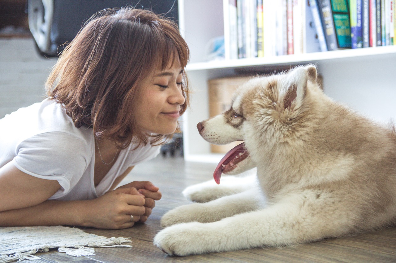 7 Sweet and Subtle Signs Your Dog Loves You