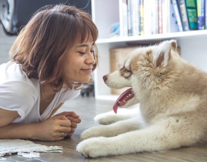 How Your Pet May Improve Your Mental and Emotional Health